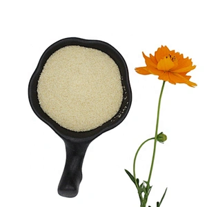 Gelatin Food Additive Gelatine Animal Glue gelatin